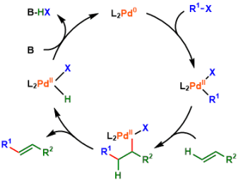 溝呂木・Heck反応の触媒サイクル
