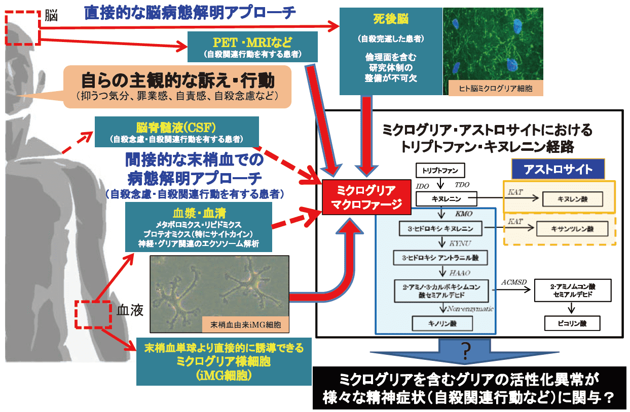 図２．精神疾患の病態解明とバイオマーカー開発のための多軸的アプローチ