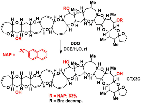 Ciguatoxin CTX3Cの全合成