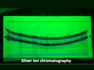 銀イオンクロマトグラフィーとは？