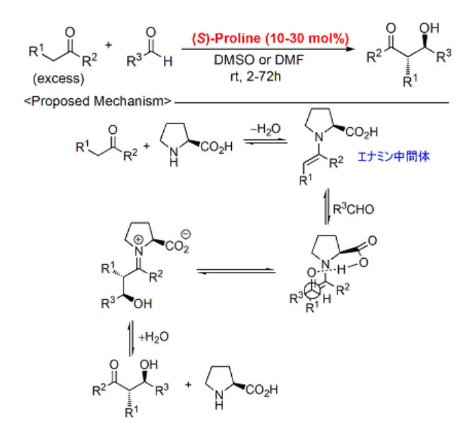 プロリンを用いた分子間直接的不斉アルドール反応