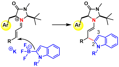 有機トリフルオロボレート塩を用いた選択的付加反応