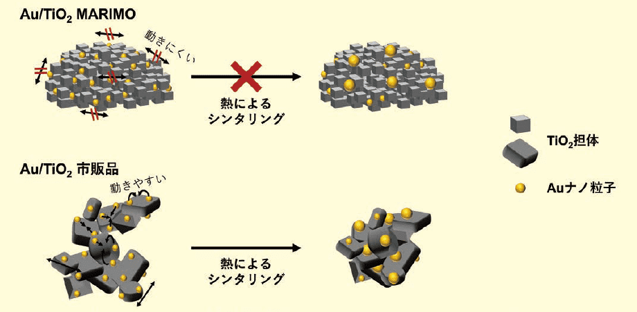 図２．貴金属ナノ粒子を担持した表面ナノ凹凸TiO2 多孔体の⾼温耐久性の概念図