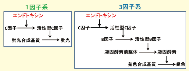 図２．遺伝子組換えタンパク質を使用したエンドトキシン検出試薬の種類