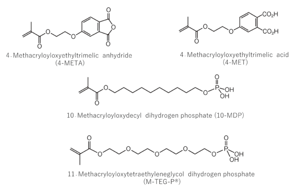 図５．接着性モノマー