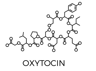【総説】脳内の愛情・幸せの素　オキシトシンをとらえる