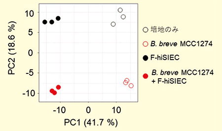 図１(A)．