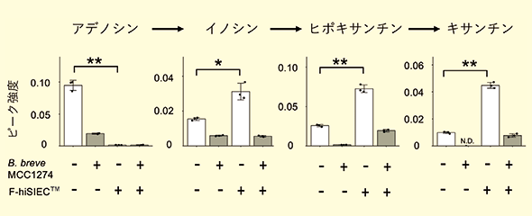 図２(A)．