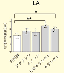 図２(B)．