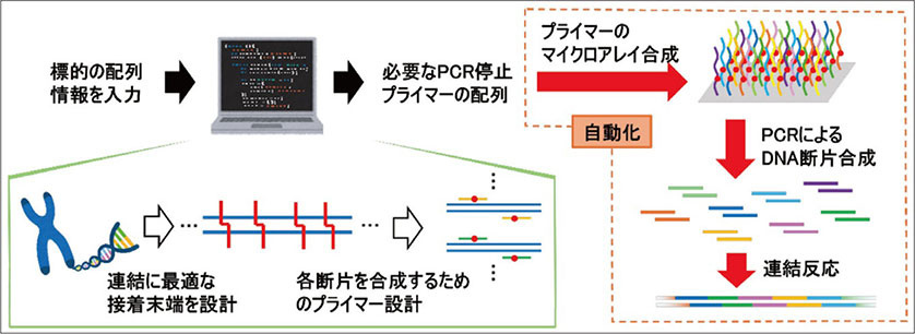 図7．今後の展望