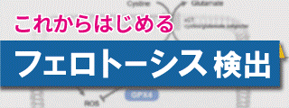 これからはじめる フェロトーシス検出