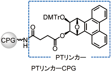 図2．PT リンカーを担持したCPG