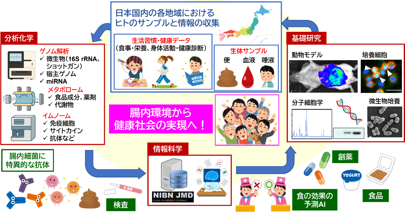 【総説】腸内環境の見える化技術の開発と健康未来への展望