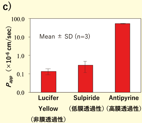 c）膜透過性データ