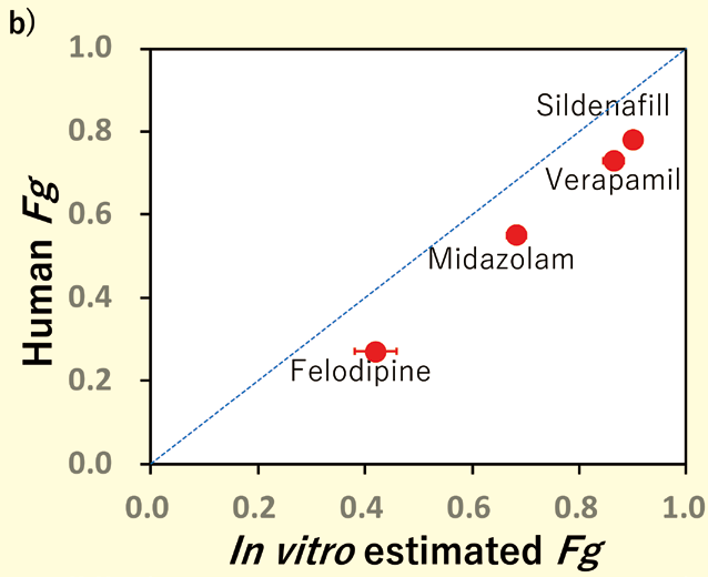 b）薬物のFg 値のIn vitro（式１より計算）-In vivo（文献値）相関