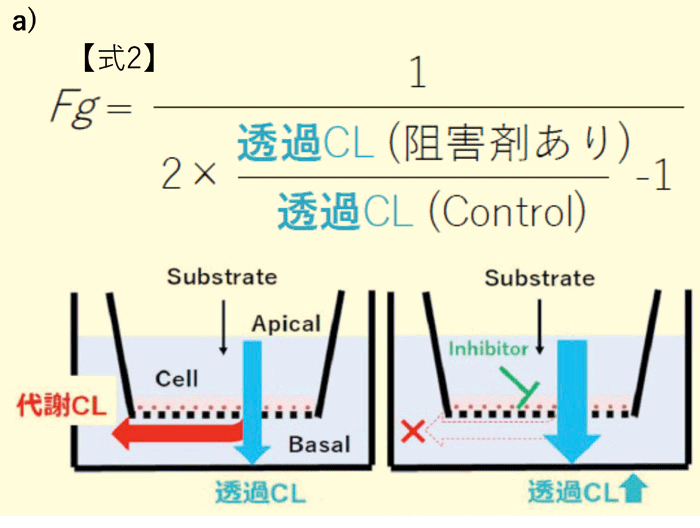 a）代謝物測定を必要としないFg 算出式（式2）とその概念図