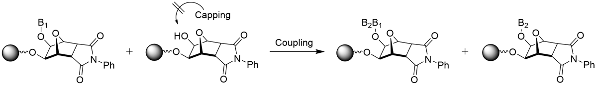 Generation of Impurities Derived from Unreacted Secondary Hydroxyl Group Associated with UnyLinker™