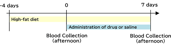 Drug administration