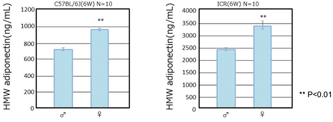 HMW Adiponectin in male and female mice