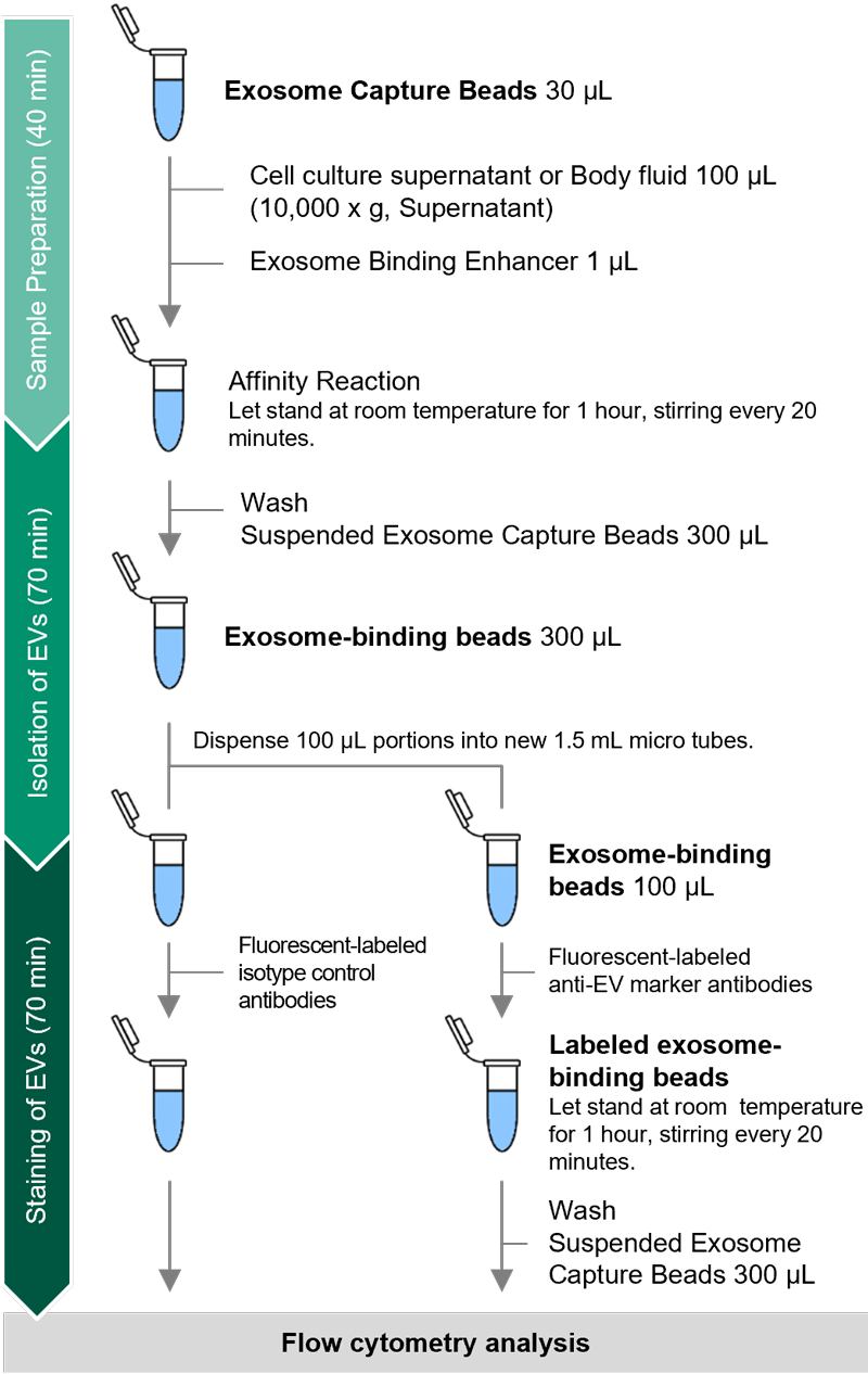 Protocol