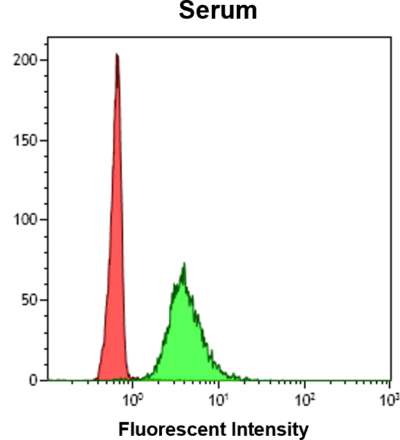 Serum