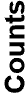 Counts