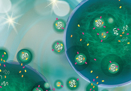 Exosome Isolation Kit PS