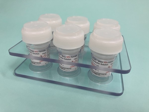 Holder for SafeCap™ Wako
(10 mL Holder, 6-hole)