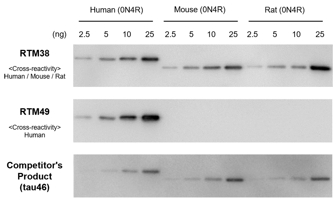 Cross-reactivity with Tau from different animal species