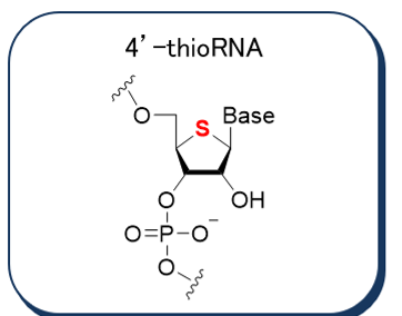 an amidite used for the synthesis of 4'-Thionucleic acids