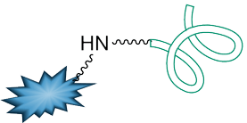 Oligonucleotide functionalization