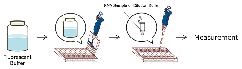 RNA Quantification