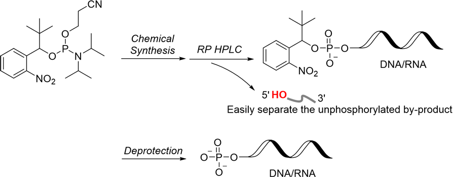 〈Application for Oligonucleotides Synthesis〉