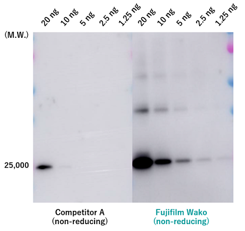 Antibodies_Exosome_img02.png