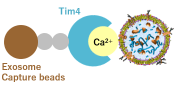 Exosome_Flow_Cytometry_Kits_img01R.png