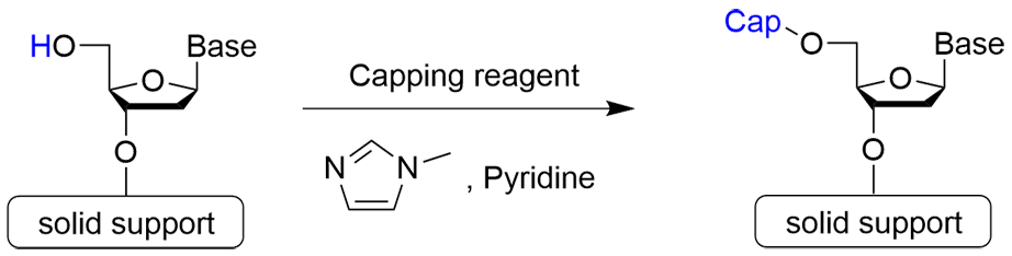 NucleicAcidChemistry_img08R.png
