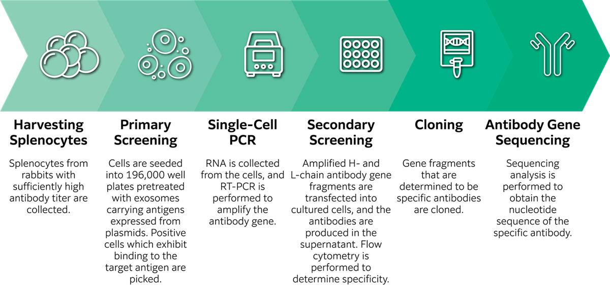 SingleB-CellCloningTechnologyFeature_95362_img03.png