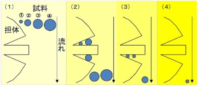 Size_Exclusion_Chromatography_Column_img02.png