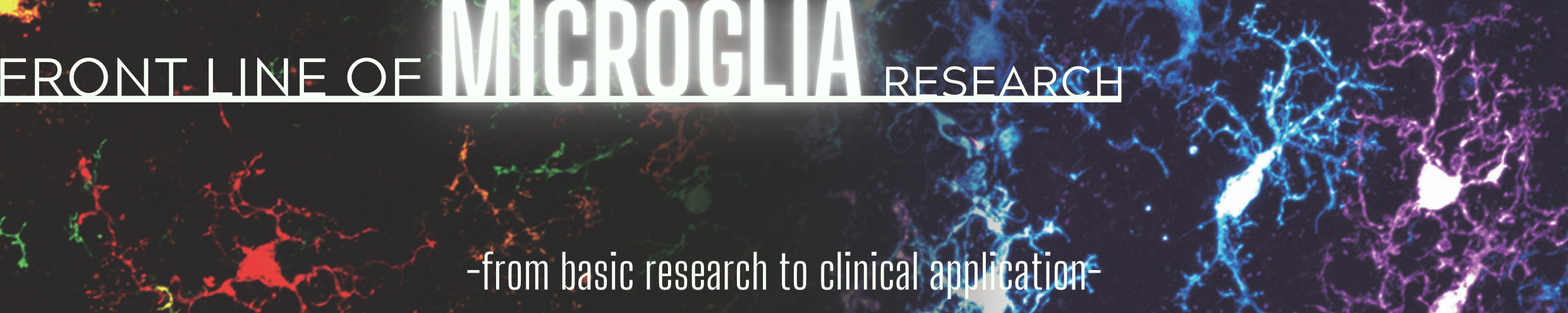 microglia_banner.png