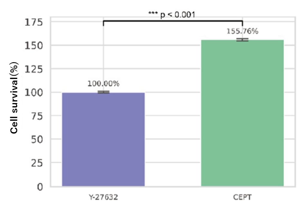 [Technical Report] Verification of the Cell Death-Suppressive Effect of CEPT Reagent in Small-Scale Electroporation: A Comparison with the Conventional ROCK Inhibitor Y-27632